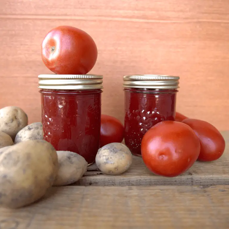 Homemade Ketchup for Canning Golden Thyme Homestead