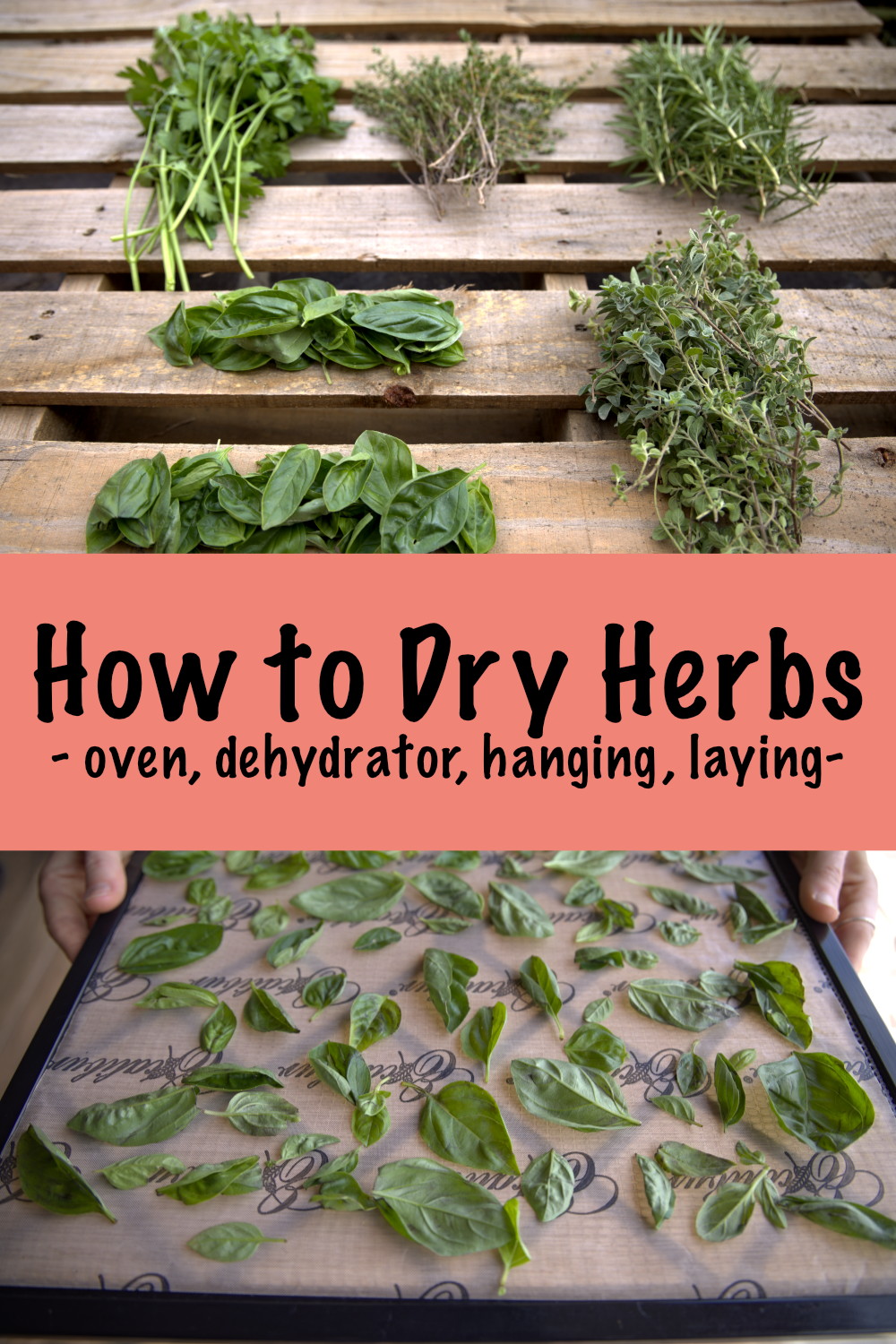 How to Dry Herbs Golden Thyme Homestead