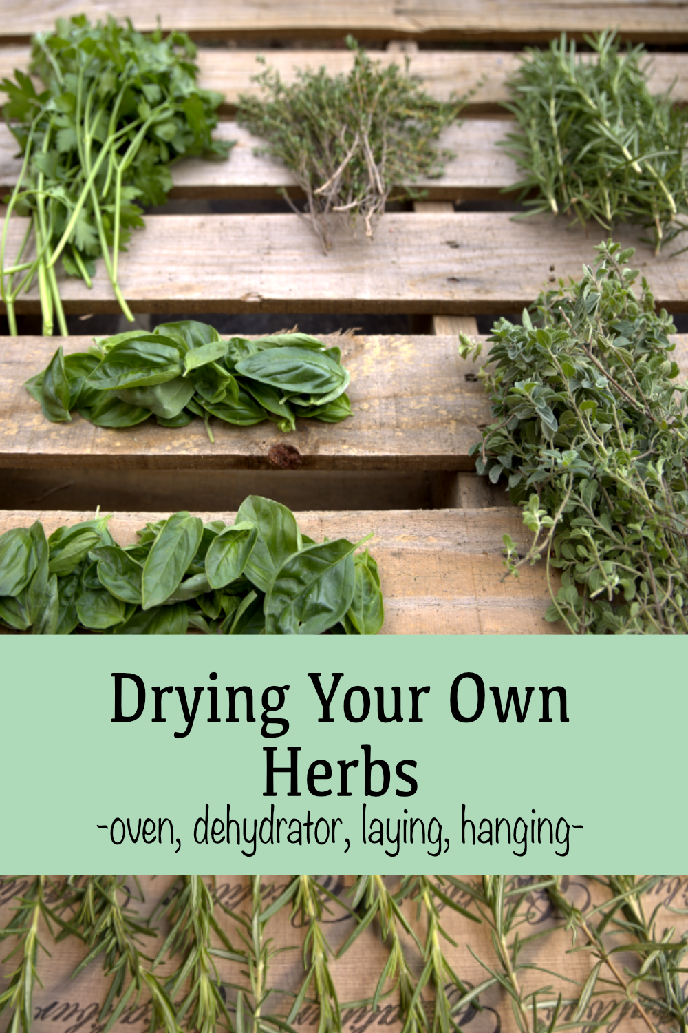 How to Dry Herbs Golden Thyme Homestead