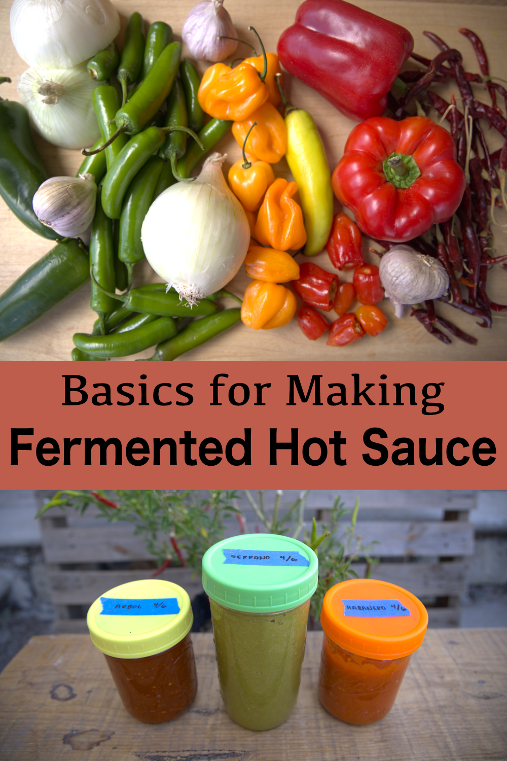 How to Make Fermented Hot Sauce Golden Thyme Homestead