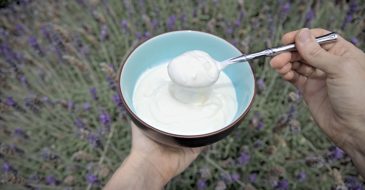 how to make sour cream