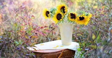 heat-tolerant flowers like sunflowers