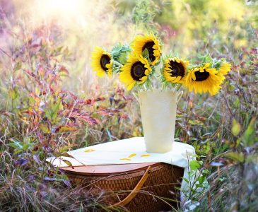 heat-tolerant flowers like sunflowers