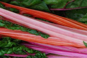 perennial vegetables rhubarb