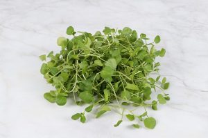 perennial vegetables watercress