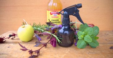 apple cider vinegar hair rinse for natural hair