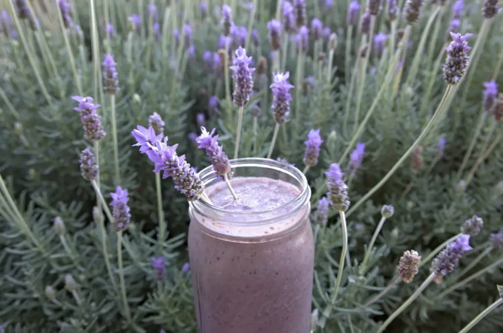 lavender healthy smoothie