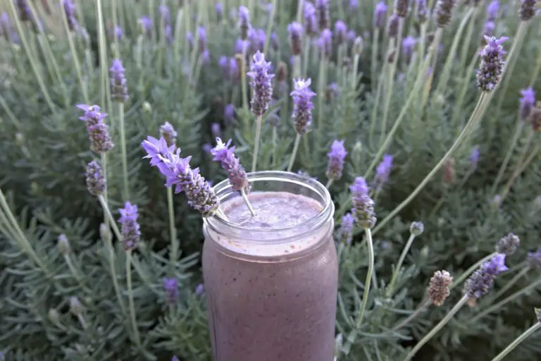 lavender healthy smoothie