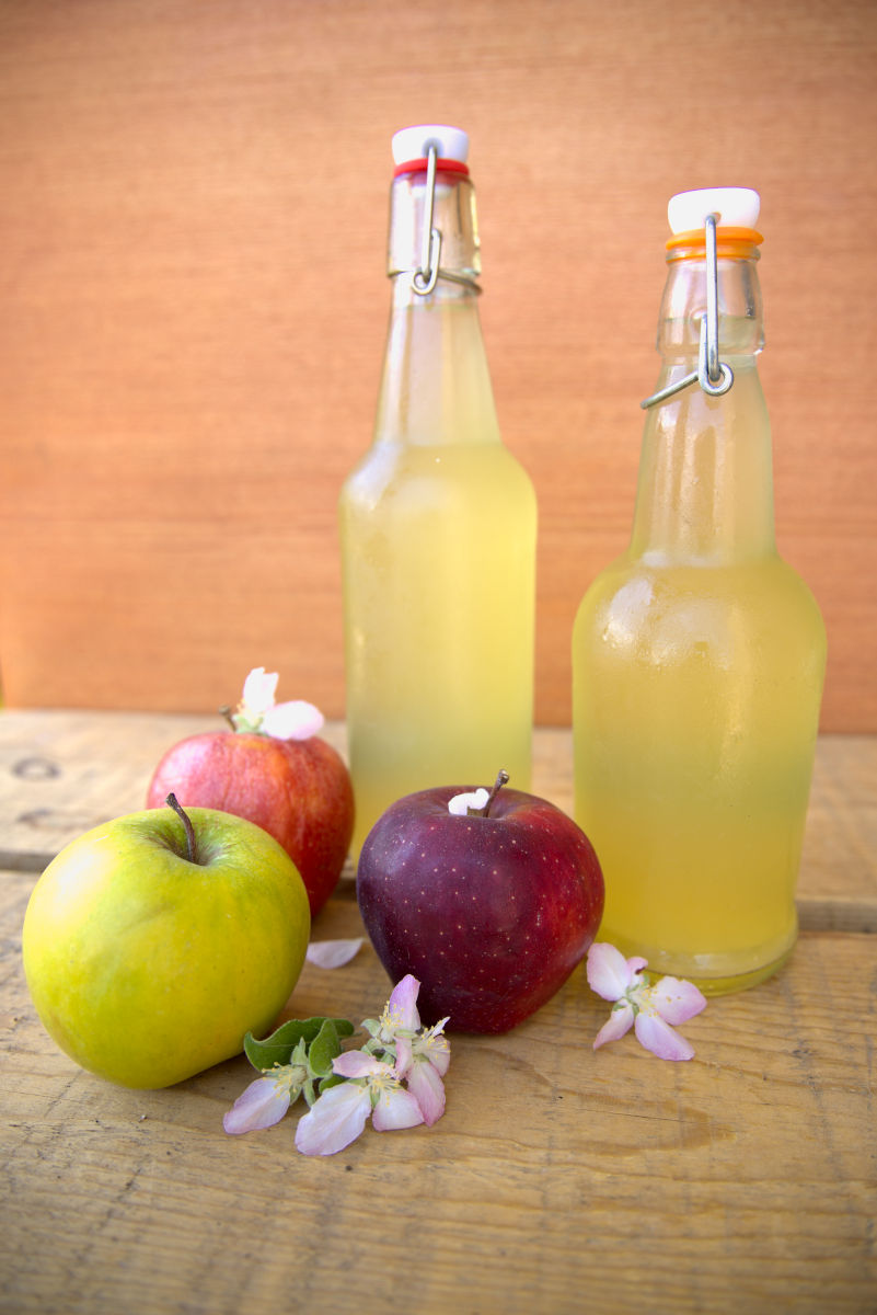 homemade apple cider vinegar in bottles