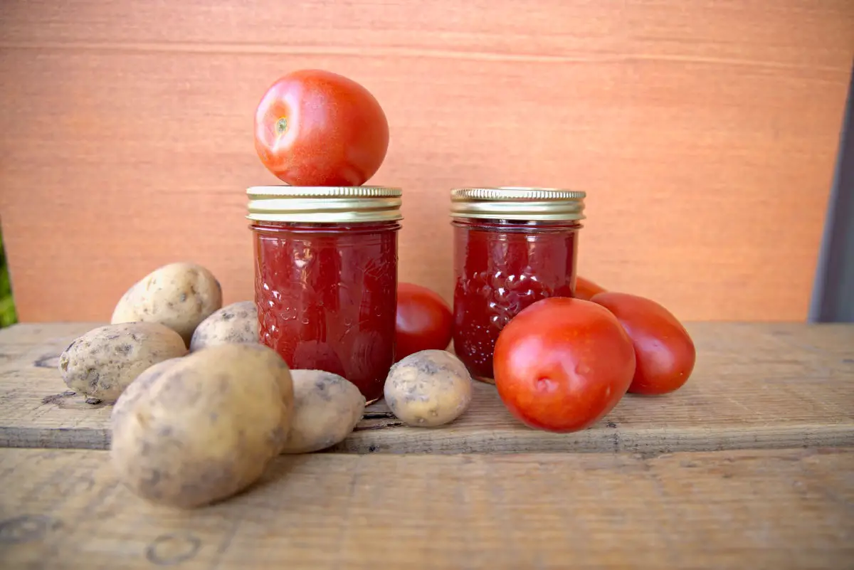 homemade ketchup for canning