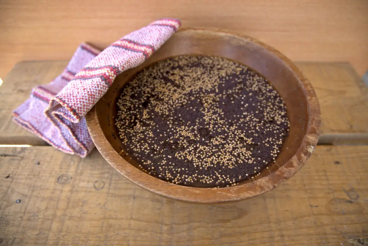 mustard seeds soaking for homemade mustard