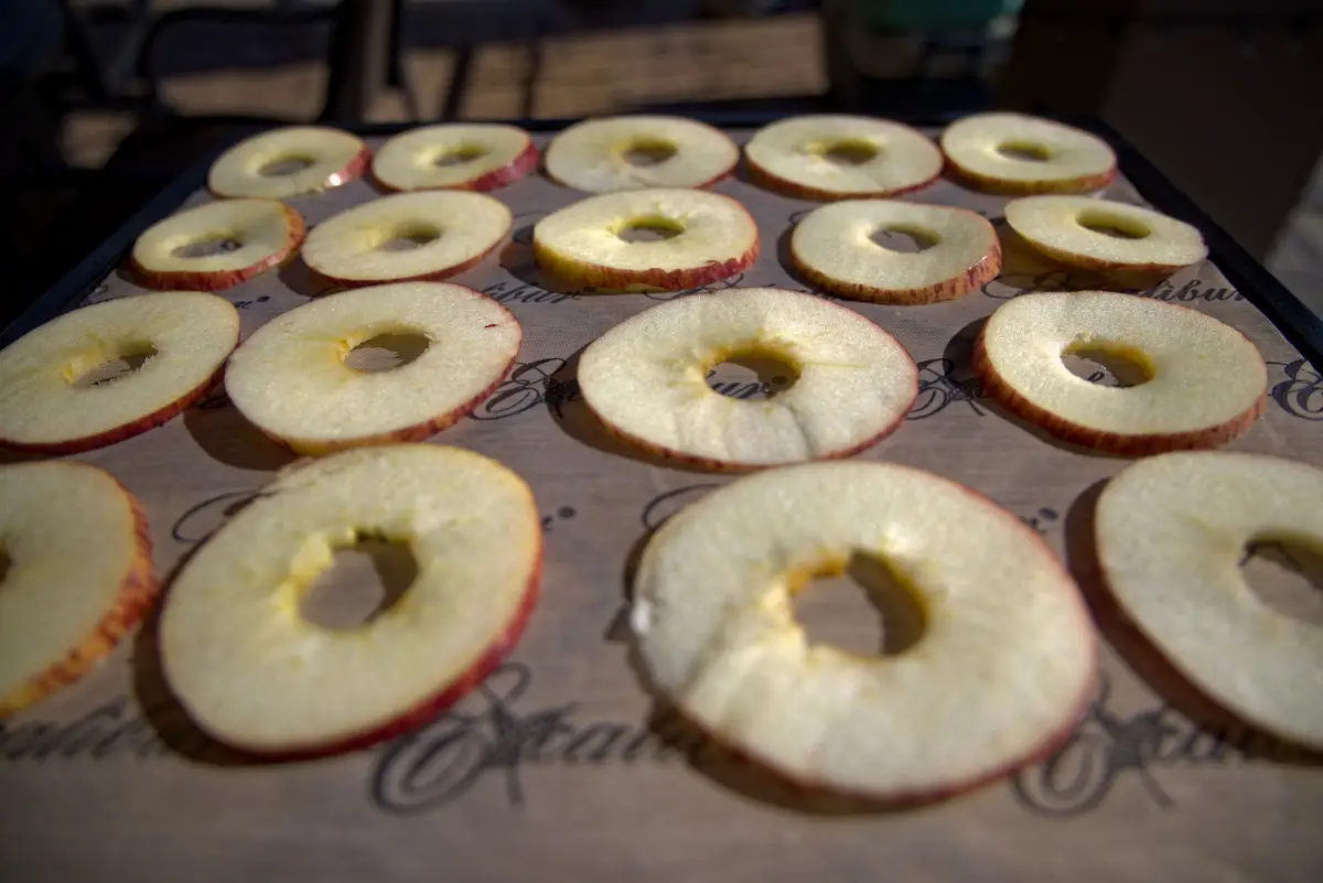 how to dehydrate apples on a dehydrator tray