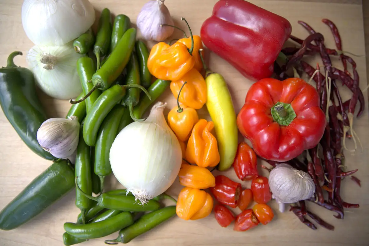 peppers and ingredients for homemade fermented hot sauce