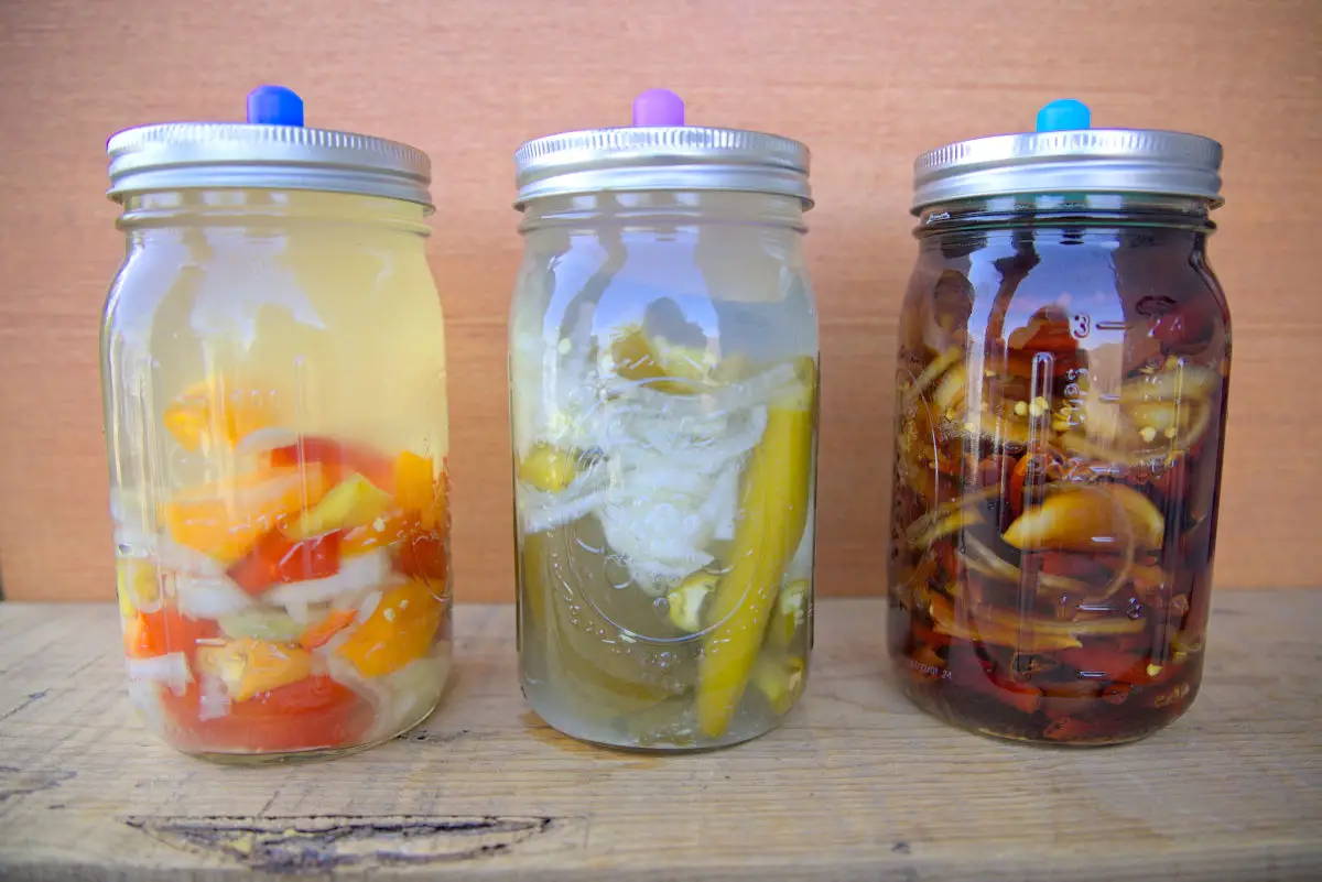fermented peppers in jars
