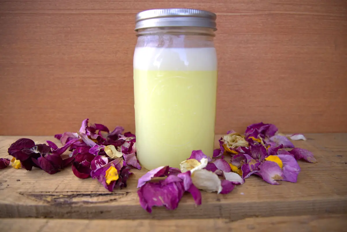 whey to make lacto-fermented mayonnaise