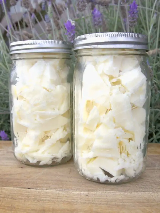 How To Make Beef Tallow Golden Thyme Homestead