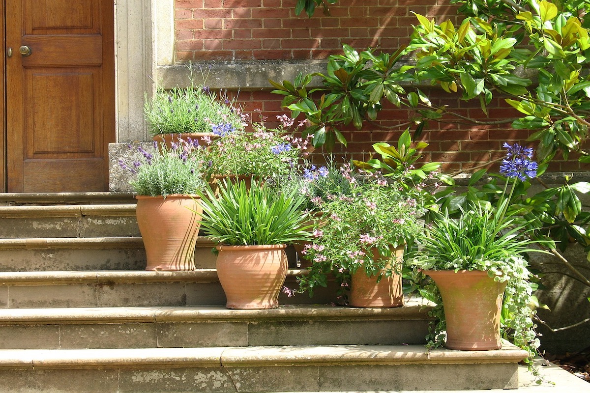 growing plants in pots on your entry stairs