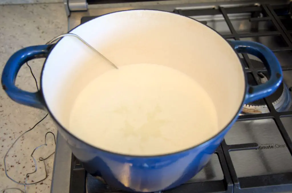 heating milk for goat cheese