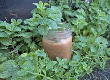 mint chocolate healthy smoothie