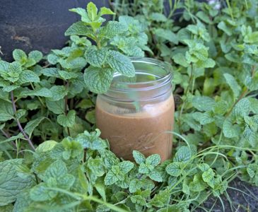 mint chocolate healthy smoothie