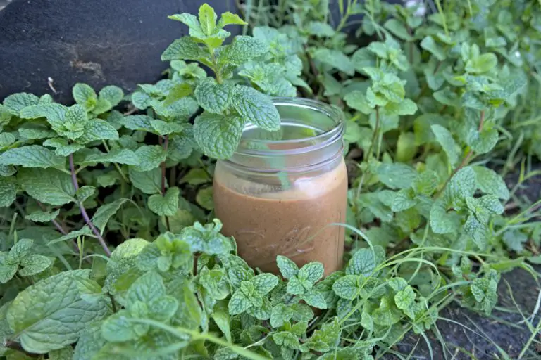 mint chocolate healthy smoothie
