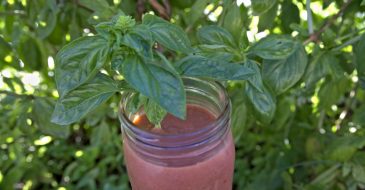strawberry basil healthy smoothie