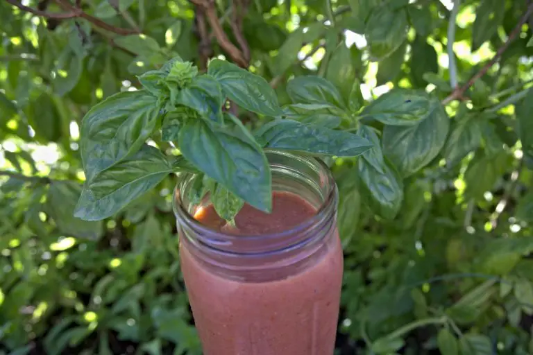 strawberry basil healthy smoothie