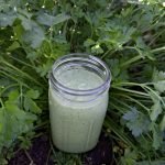 tropical parsley healthy smoothie