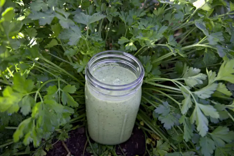 tropical parsley healthy smoothie